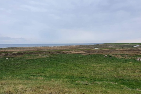 Foto van 6 persoons vakantie huis in Rømø-By Traum - Vakantiehuis in Rømø - WaterView