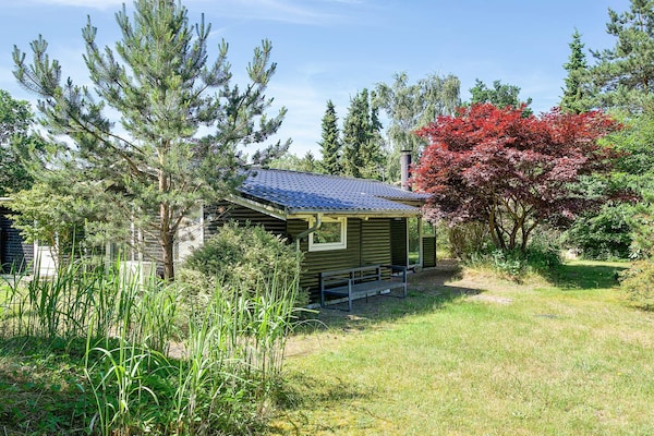 Foto van Gezellig toevluchtsoord in Ellinge Lyng - Vakantiehuis in Vig - View