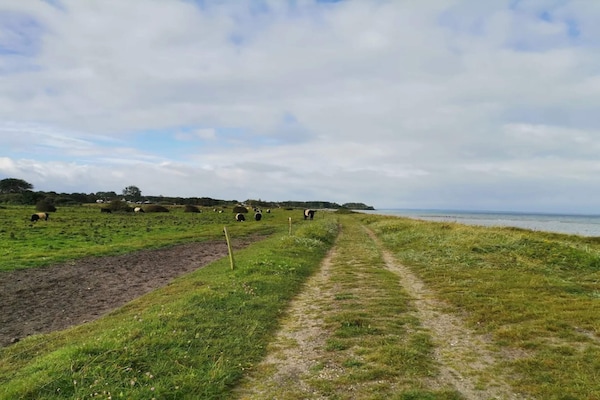 Foto van Luxe vakantieverblijf met zwembad - Vakantiehuis in Nordborg - Untagged