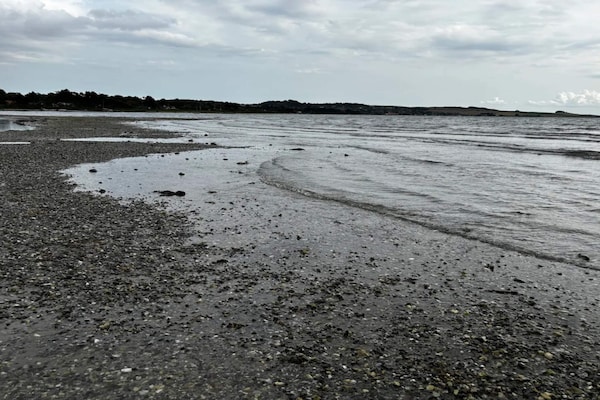 Foto van Rustige oase in Knebel - Vakantiehuis in Knebel - WaterView