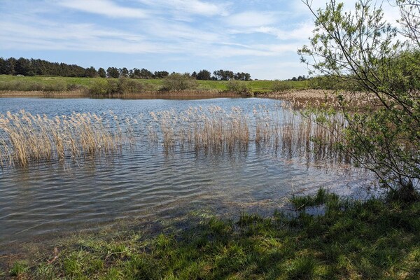 Foto van 6 persoons vakantie huis in Pandrup - Vakantiehuis in Pandrup - WaterView