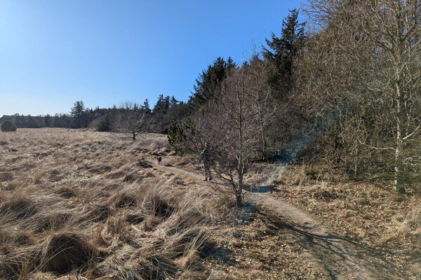 Foto van 6 persoons vakantie huis in Pandrup - Vakantiehuis in Pandrup - Untagged