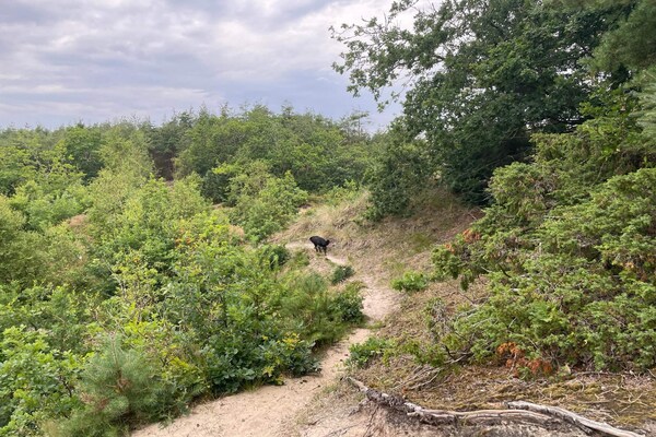 Foto van 6 persoons vakantie huis in Pandrup - Vakantiehuis in Pandrup - Untagged