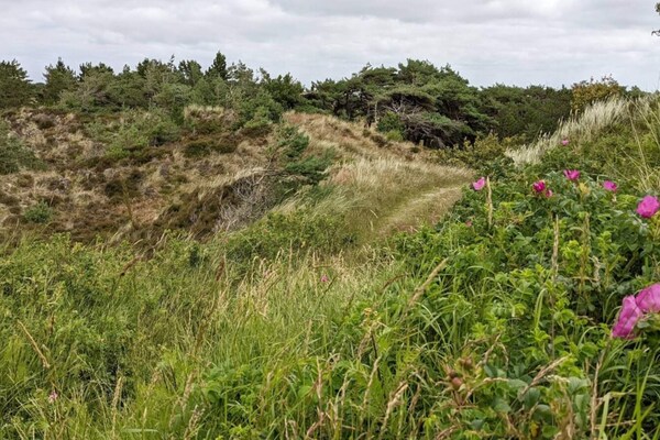 Foto van Luxe toevluchtsoord in Toftum - Vakantiehuis in Rømø - Untagged