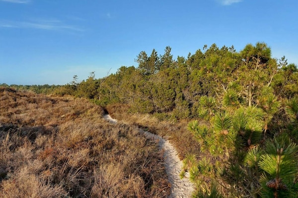 Foto van Luxe toevluchtsoord in Toftum - Vakantiehuis in Rømø - Untagged