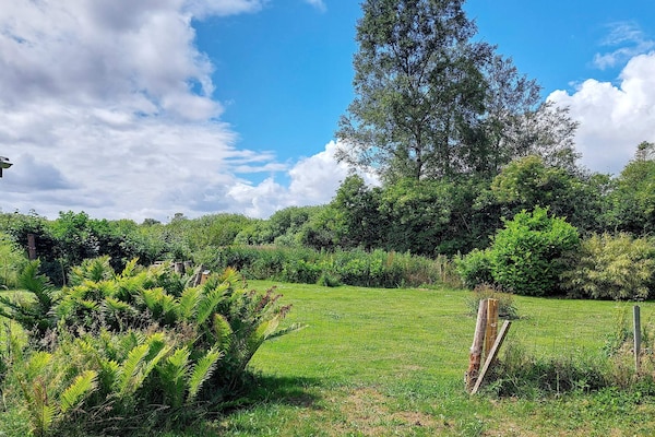 Foto van 6 persoons vakantie huis in Hals-By Traum - Vakantiehuis in Hals - Outdoor