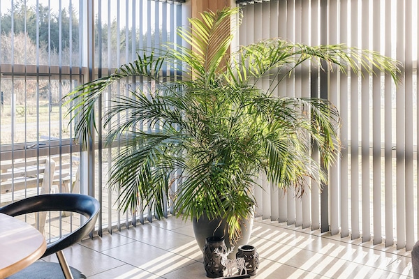 Foto van 8 persoons vakantie huis in Brovst - Vakantiehuis in Brovst - Indoor