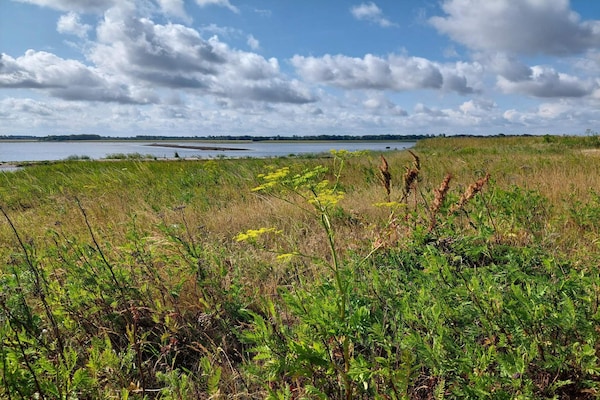 Foto van 8 persoons vakantie huis in Bogense-By Traum - Vakantiehuis in Bogense - WaterView