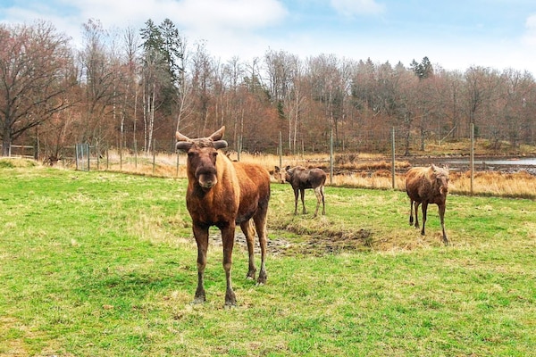 Foto van 6 persoons vakantie huis in STJÄRNHOV-By Traum - Vakantiehuis in STJÄRNHOV - View