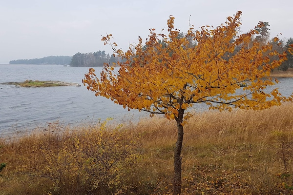 Foto van 6 persoons vakantie huis in ORNÖ-By Traum - Vakantiehuis in ORNÖ - WaterView