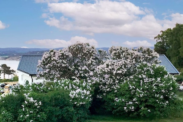 Foto van 6 persoons vakantie huis in Höviksnäs-By Traum - Vakantiehuis in Höviksnäs - Outdoor