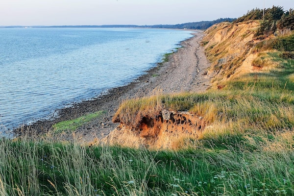 Foto van 6 persoons vakantie huis in Løgstør-By Traum - Vakantiehuis in Løgstør - WaterView