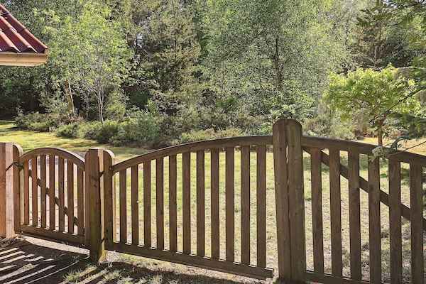 Foto van 6 persoons vakantie huis in Højslev-By Traum - Vakantiehuis in Højslev - Outdoor