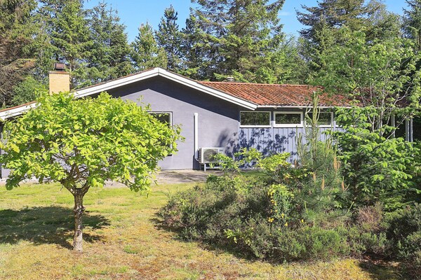 Foto van 6 persoons vakantie huis in Højslev-By Traum - Vakantiehuis in Højslev - Outdoor