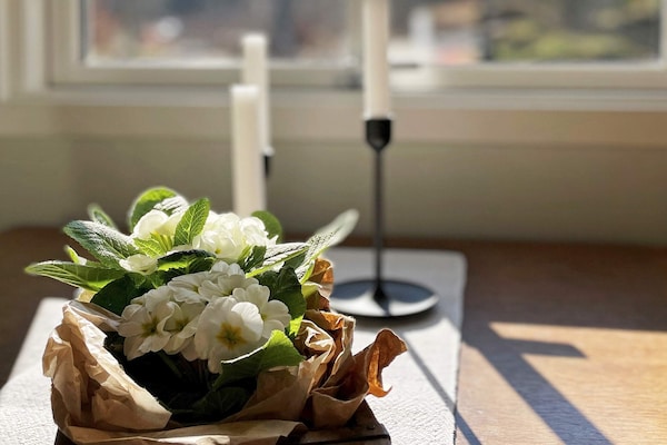 Foto van 6 persoons vakantie huis in Höviksnäs-By Traum - Vakantiehuis in Höviksnäs - Indoor