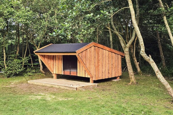 Foto van 7 persoons vakantie huis in Hurup Thy-By Traum - Vakantiehuis in Hurup Thy - Outdoor