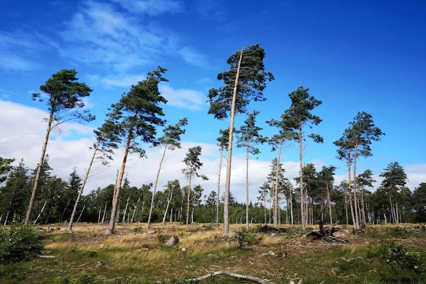 Foto van 10 persoons vakantie huis in Væggerløse-By Traum - Untagged