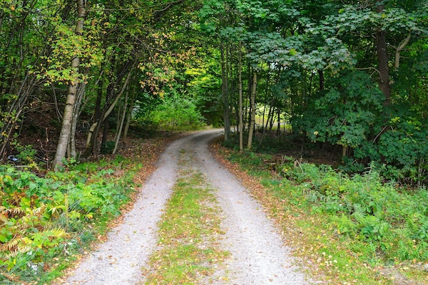Foto van 7 persoons vakantie huis in Vittsjö-By Traum - Vakantiehuis in Vittsjö - Outdoor