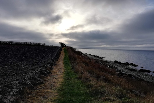 Foto van 6 persoons vakantie huis in Tranekær-By Traum - Vakantiehuis in Tranekær - WaterView