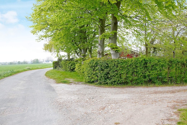 Foto van 6 persoons vakantie huis in Otterup-By Traum - Vakantiehuis in Otterup - Untagged