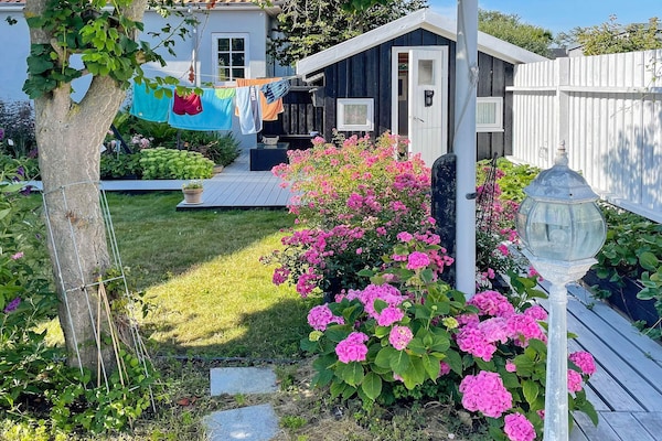 Foto van 6 persoons vakantie huis in Otterup-By Traum - Vakantiehuis in Otterup - Outdoor