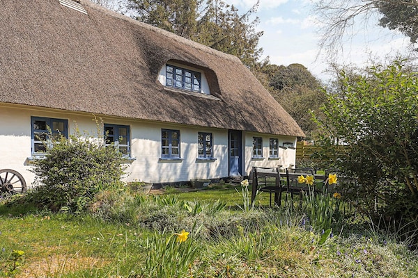 Foto van 6 persoons vakantie huis in Søby Ærø-By Traum - Vakantiehuis in Søby Ærø - Outdoor