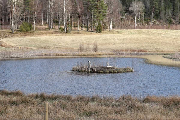 Foto van 11 persoons vakantie huis in HÖGSÄTER-By Traum - Vakantiehuis in HÖGSÄTER - View
