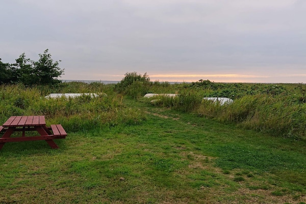 Foto van 6 persoons vakantie huis in Skjern-By Traum - Vakantiehuis in Skjern - Outdoor