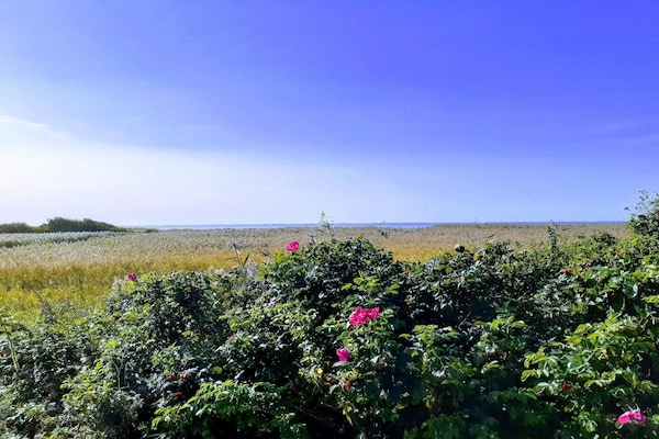 Foto van 6 persoons vakantie huis in Skjern-By Traum - Vakantiehuis in Skjern - Outdoor