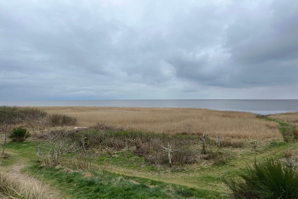 Foto van 6 persoons vakantie huis in Skjern-By Traum - Vakantiehuis in Skjern - Outdoor