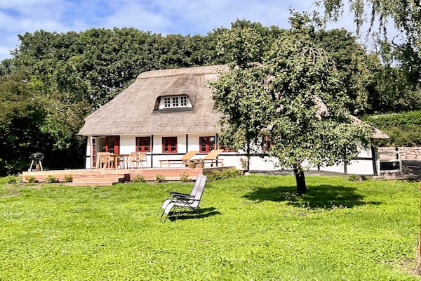 Foto van Familiehuisje voor acht gasten - Vakantiehuis in Bagenkop - Outdoor