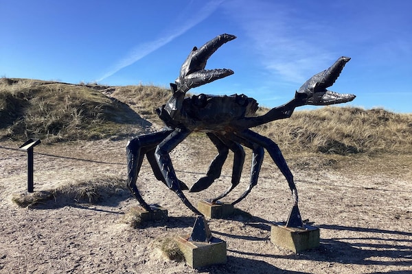Foto van 10 persoons vakantie huis in Fjerritslev-By Traum - Vakantiehuis in Fjerritslev - Outdoor