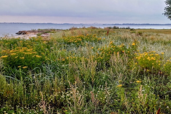 Foto van 7 persoons vakantie huis in Svendborg-By Traum - Vakantiehuis in Svendborg - WaterView