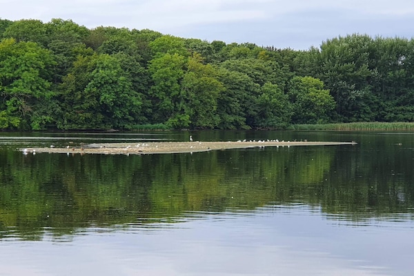 Foto van 7 persoons vakantie huis in Svendborg-By Traum - Vakantiehuis in Svendborg - WaterView