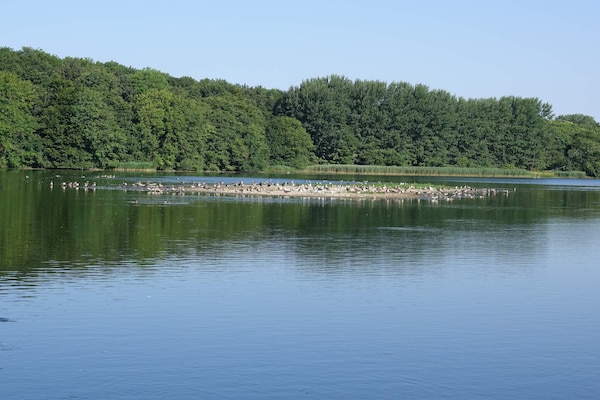 Foto van 7 persoons vakantie huis in Svendborg-By Traum - Vakantiehuis in Svendborg - WaterView
