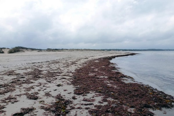 Foto van 6 persoons vakantie huis in Hornbæk-By Traum - Vakantiehuis in Hornbæk - WaterView