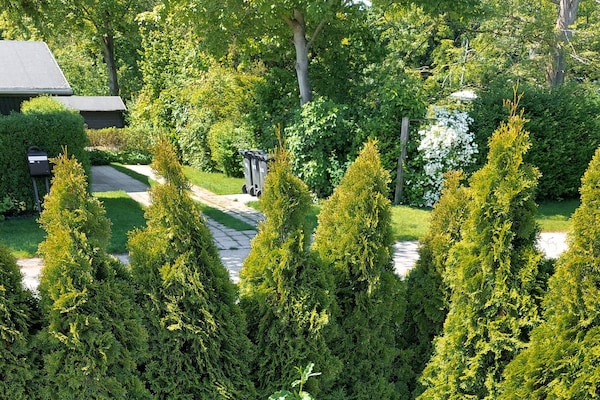 Foto van 6 persoons vakantie huis in Hornbæk-By Traum - Vakantiehuis in Hornbæk - View