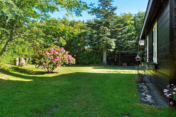 Foto van 6 persoons vakantie huis in Hemmet-By Traum - Vakantiehuis in Hemmet - View