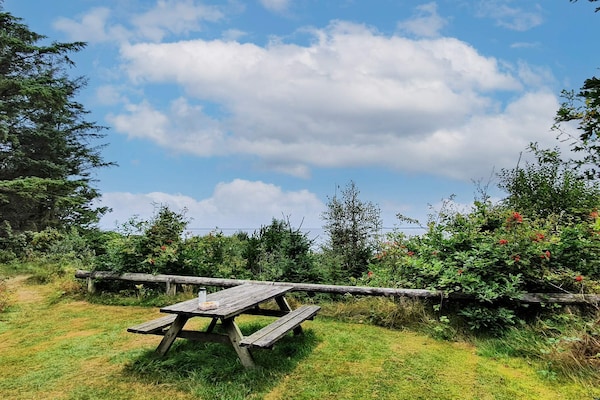 Foto van 6 persoons vakantie huis in Ulfborg-By Traum - Vakantiehuis in Ulfborg - Outdoor