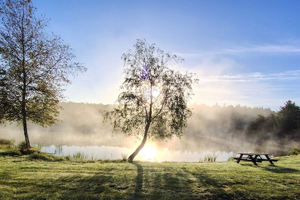 Foto van 6 persoons vakantie huis in Toftlund-By Traum - Vakantiehuis in Toftlund - Untagged