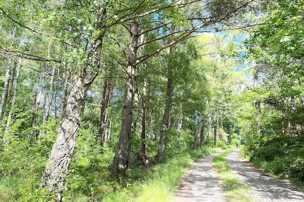 Foto van 5 persoons vakantie huis in KLÖVEDAL-By Traum - Vakantiehuis in KLÖVEDAL - Untagged
