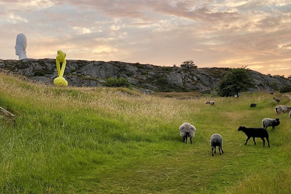 Foto van 5 persoons vakantie huis in KLÖVEDAL-By Traum - Vakantiehuis in KLÖVEDAL - Untagged