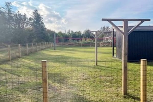 Foto van 12 persoons vakantie huis in Ålbæk-By Traum - Vakantiehuis in Ålbæk - Outdoor