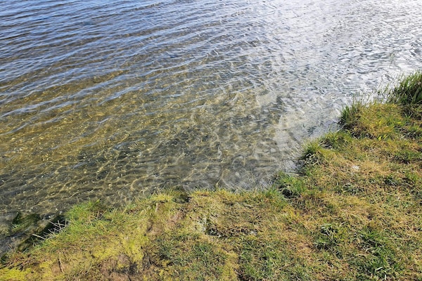 Foto van 6 persoons vakantie huis in Ørsted-By Traum - Vakantiehuis in Ørsted - WaterView