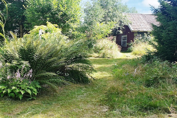 Foto van 8 persoons vakantie huis in Annerstad-By Traum - Vakantiehuis in Annerstad - Outdoor