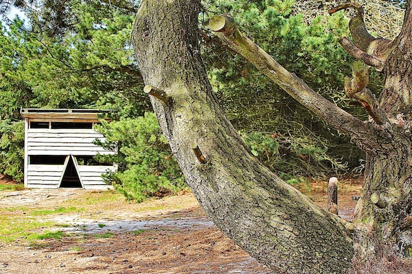 Foto van 7 persoons vakantie huis in Ulfborg-By Traum - Vakantiehuis in Ulfborg - View