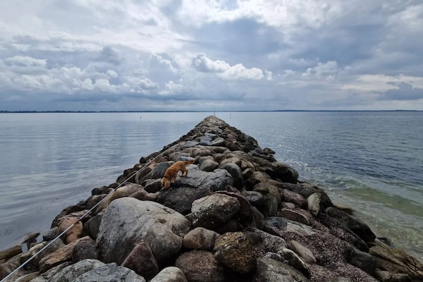 Foto van 6 persoons vakantiehuis in Øster Assels - Vakantiehuis in Øster Assels - WaterView