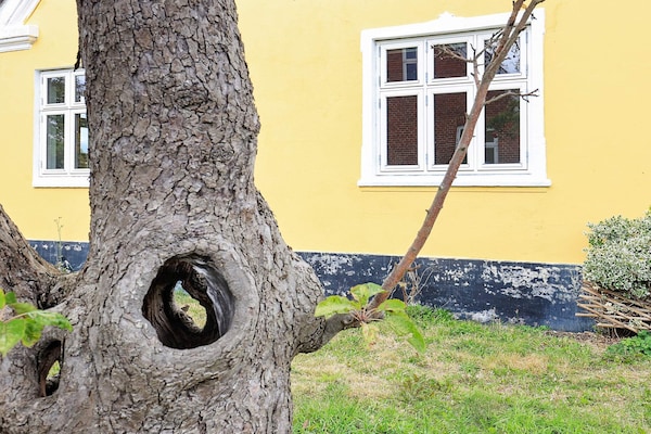Foto van 6 persoons vakantie huis in Rudkøbing-By Traum - Vakantiehuis in Rudkøbing - View