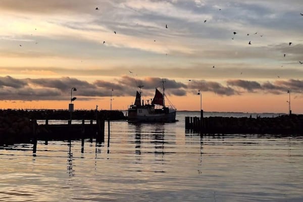 Foto van 6 persoons vakantie huis in Rudkøbing-By Traum - Vakantiehuis in Rudkøbing - Outdoor