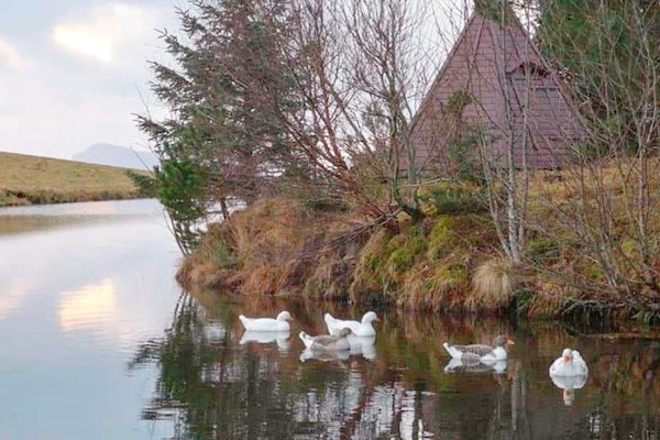 Foto van 6 persoons vakantie huis in Tansøy-By Traum - Vakantiehuis in Tansøy - Untagged